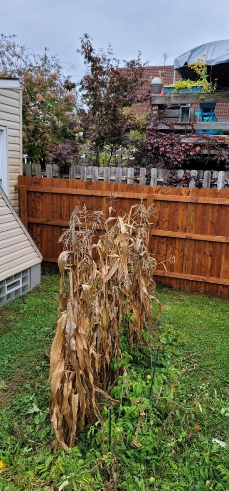 att.UHm40U699XtwAjMrUqVhaa5VZD-HJ6ElS1QcVsbl08s